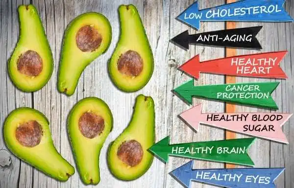 Avocado 8 benefits in Hindi | What is Avocado in Hindi