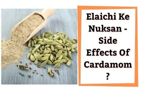 Elaichi Ke Fayde | Green Cardamom Benefits and Uses in Hindi