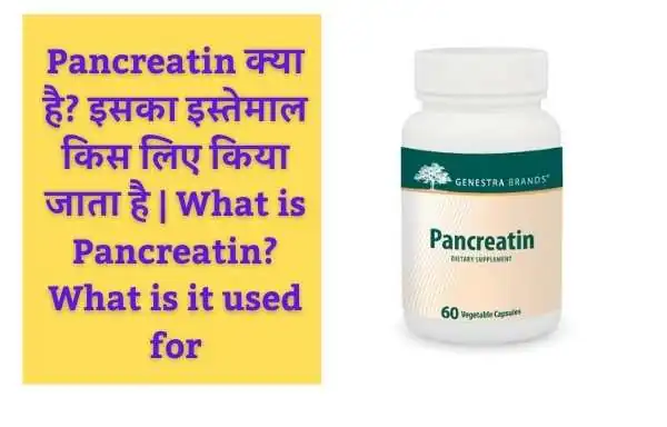 Pancreatin क्या है? इसका इस्तेमाल किस लिए किया जाता है | What is Pancreatin? What is it used for: