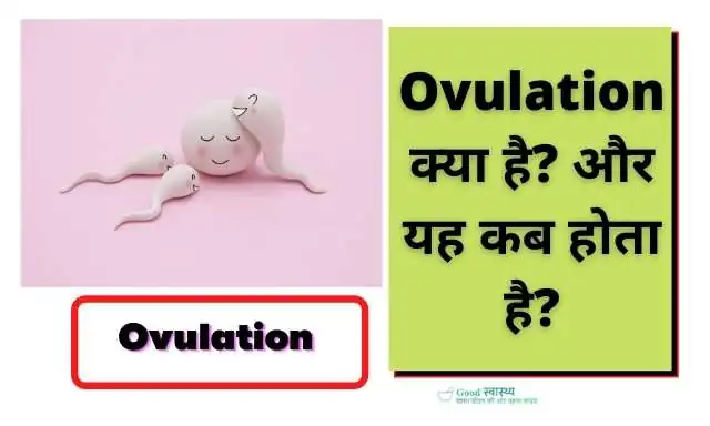 What is Ovulation Image - Sperm For Ovulation Picture