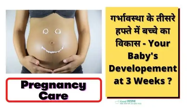 Third Week of Pregnancy Image