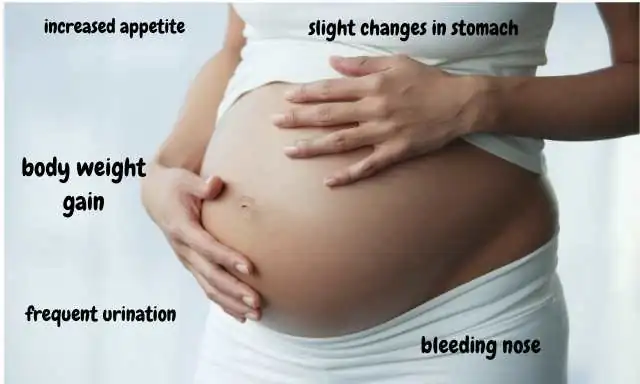 Symptoms Of 14th Week Pregnancy In Hindi 