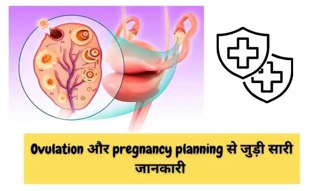 Ovulation pain and Pregnancy-related image